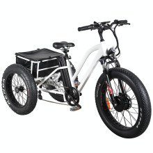 China Factory Best Price Three Wheel Electric Tricycle for Adults